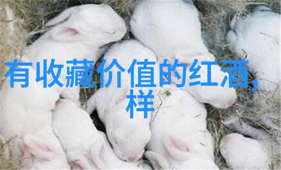 他在业内外受到过哪些认可和奖项以及这些荣誉给予了他什么样的启示和动力
