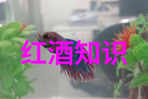 (不)熟悉的味道对比冷藏和热炖后的区别体验