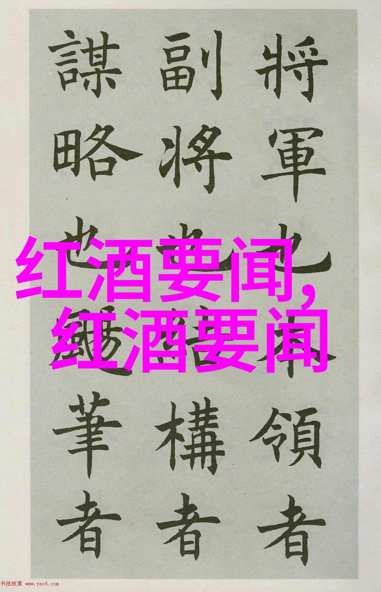 猫品种探秘在自然的怀抱中寻找佳美娜与其他珍稀品种