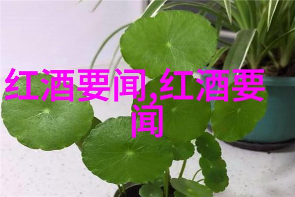 中学历史教学园地Breakthru Beverage Group任命Michelle Ried为分析