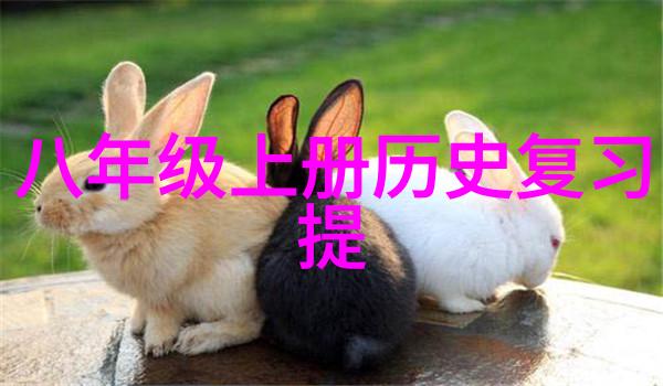红酒品鉴技巧深入了解红酒的风味和口感