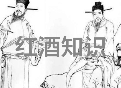 探索猫咪的品种多样性精彩图片大全