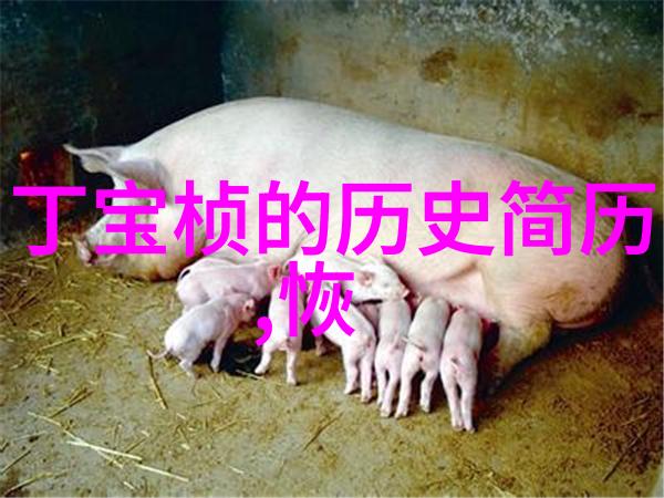 科西嘉岛葡萄酒顶级产区的传奇故事