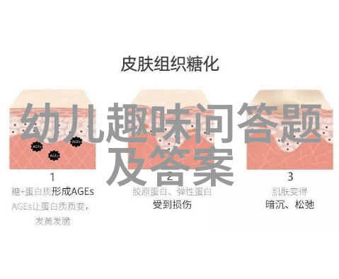 猫咪绘卷纵横捭阖的品种篇章