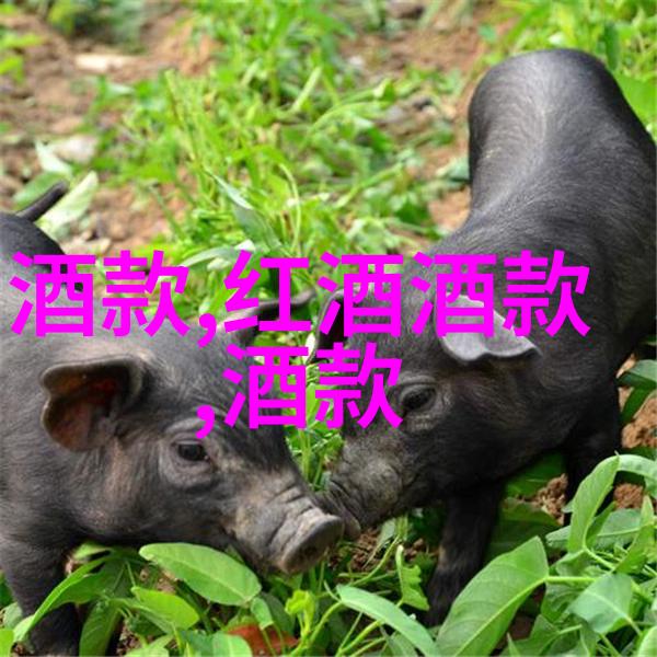 上海周边旅游景点大全排名探索江南美丽篇章