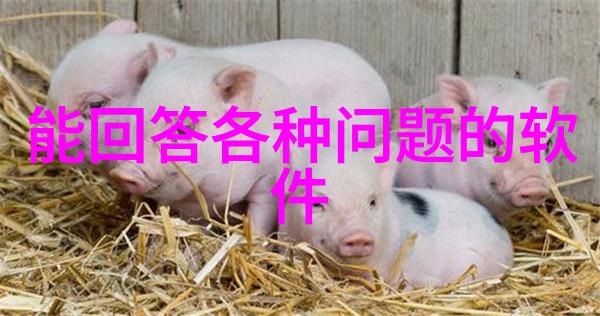 搜索技巧在百度上高效提问的艺术与技巧
