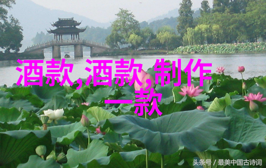 做葡萄酒的心得感受-酿造梦想葡萄酒制作的心得体会