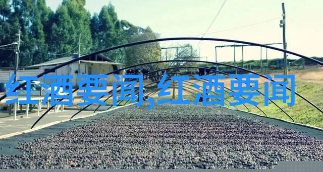 小学问答题小学生趣味问答题我和我的小伙伴们的知识大冒险