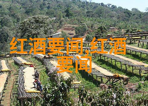 我要知道文物局鉴定到底贵到多少钱
