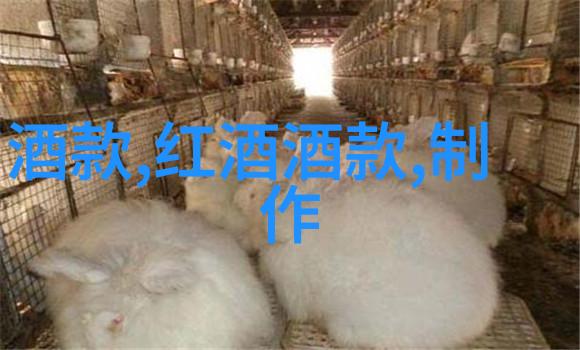 玫瑰品种大集合花开不停的笑话大赛