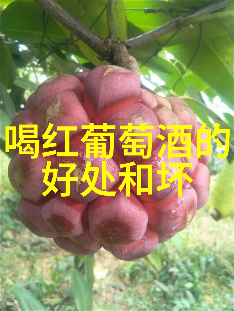 上海周边2天1夜自驾游我去图书馆附近的湖畔小镇玩了个趟你知道那儿有多美吗