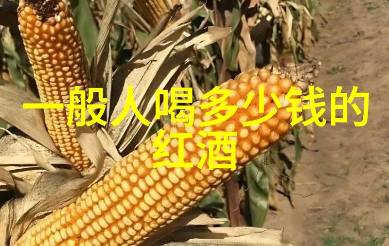 从简单小屋到宏伟宫殿一款款最佳选择揭秘篇