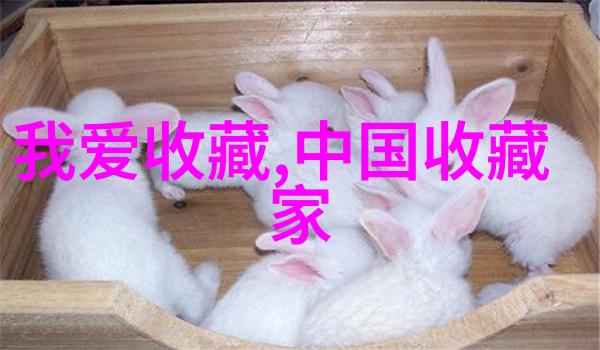 斯洛美酒庄如兰州庄园乳业官网的温婉女士款款醉人心