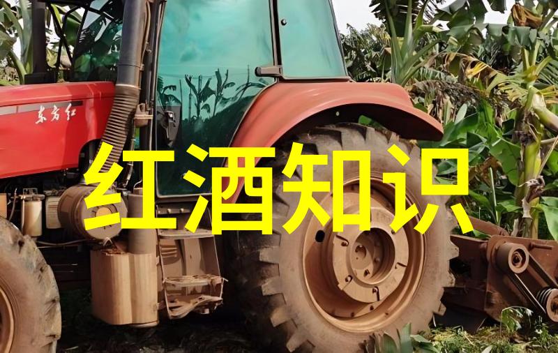 如何在海量视频中找到心仪的收藏