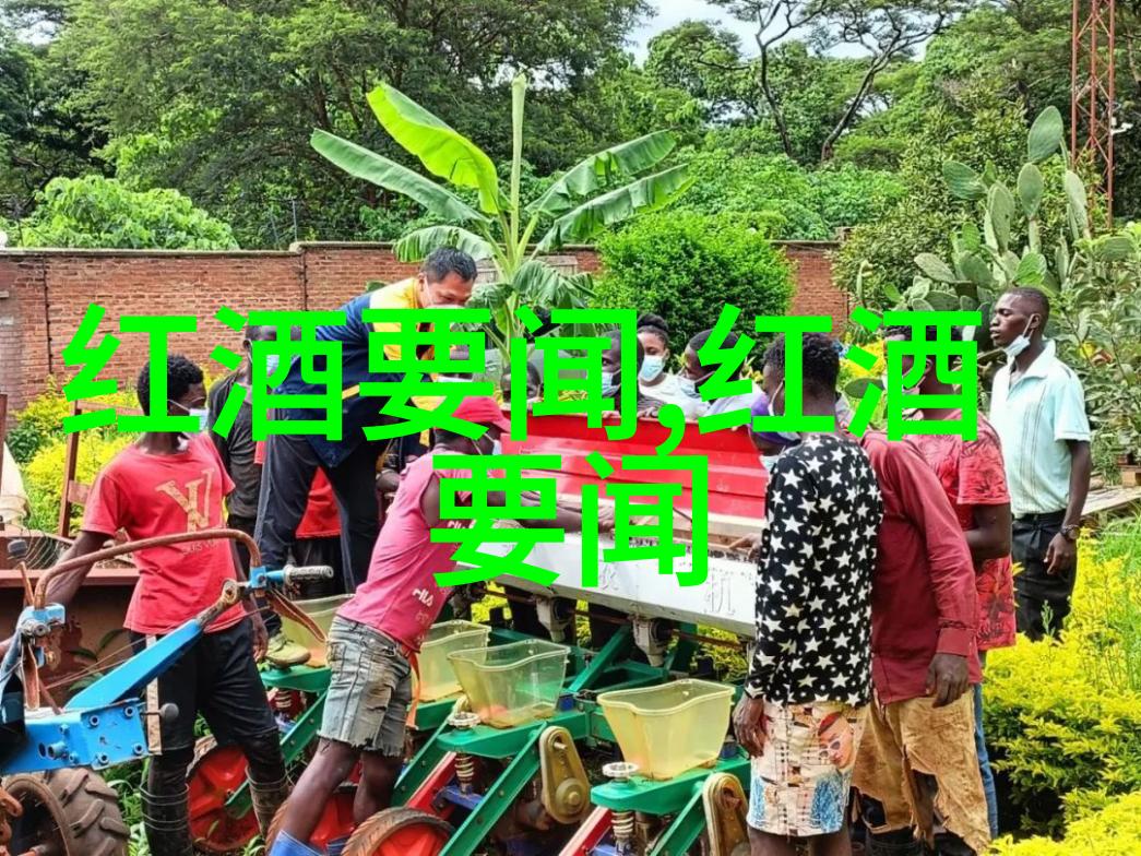黑皮诺之谜遥远的葡萄园与隐藏的秘密