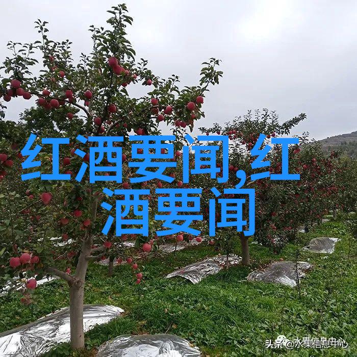 老婆是条九尾狐我的奇幻婚姻日记