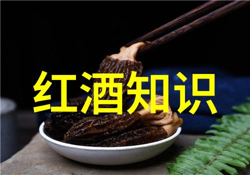 全球红酒产区-葡萄园中的宝藏揭秘世界上最佳酿酒地区