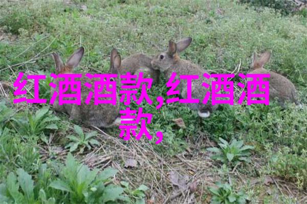 云南红酒庄园简介金色的葡萄碧空下的醉心情怀
