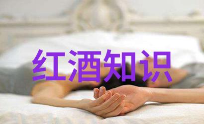 旧红酒文化是什么蓝宝拉酒庄