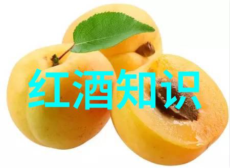 法国葡萄酒法定产区醉心于庄严与狂欢的双重奏鸣