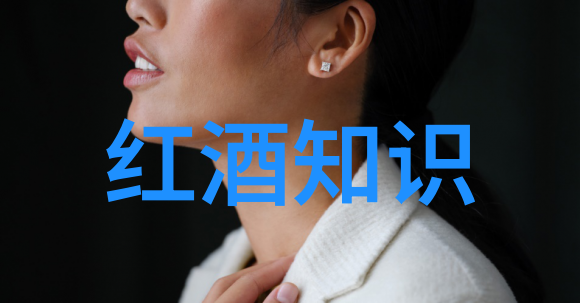 如何确保我的珍贵记忆不会因为技术变迁而丢失