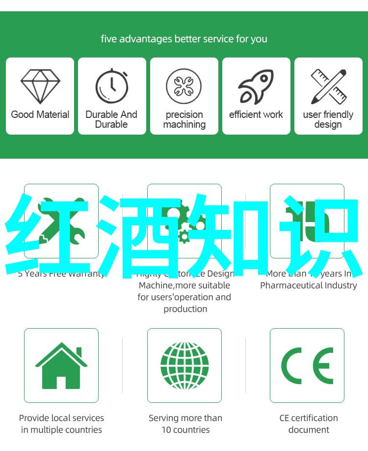东北吉林小伟CHINESE冰雪之城里的汉语故事
