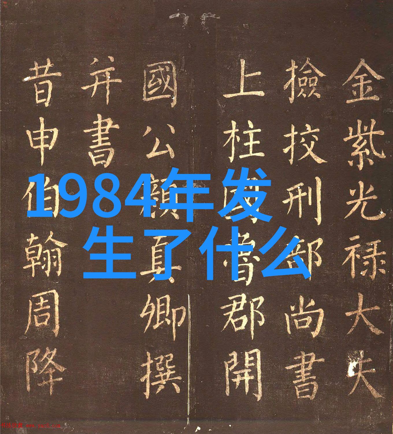 默默付出的守护者社区里的简单人物与他们的故事