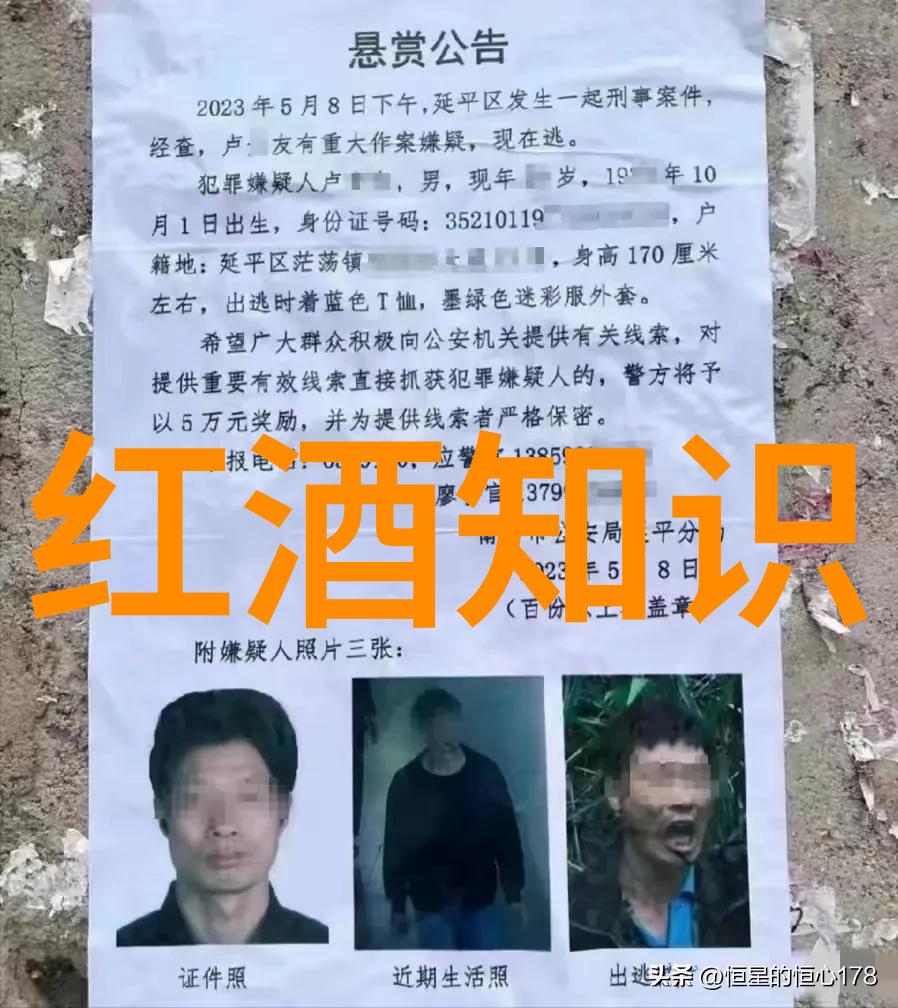 重生缠缚-轮回的纠缠与解脱