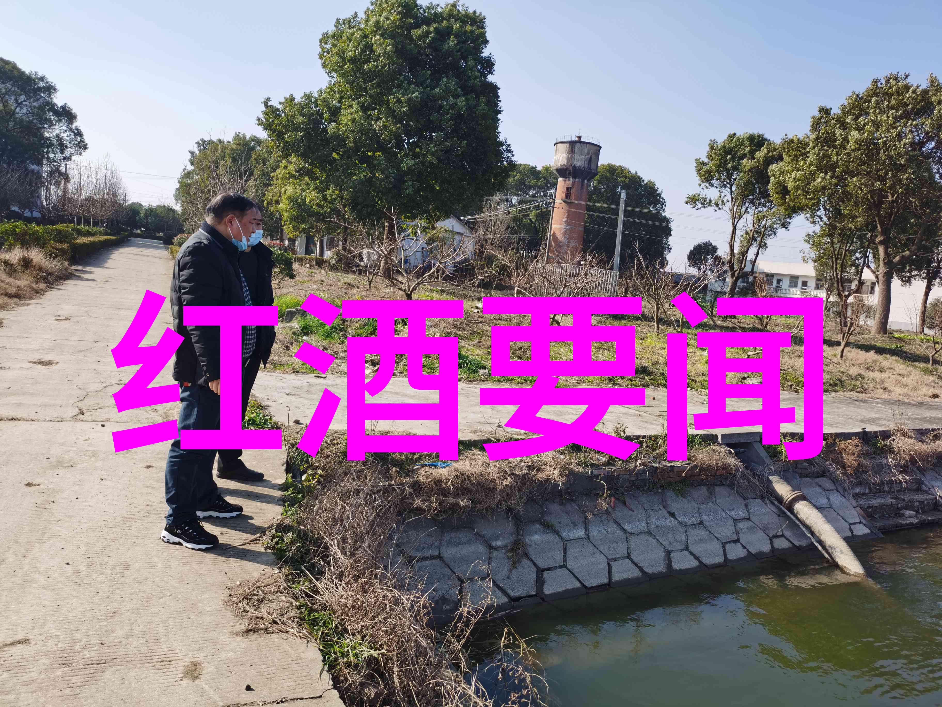 中国著名收藏家辉煌史从古代帝王到现代亿万富翁