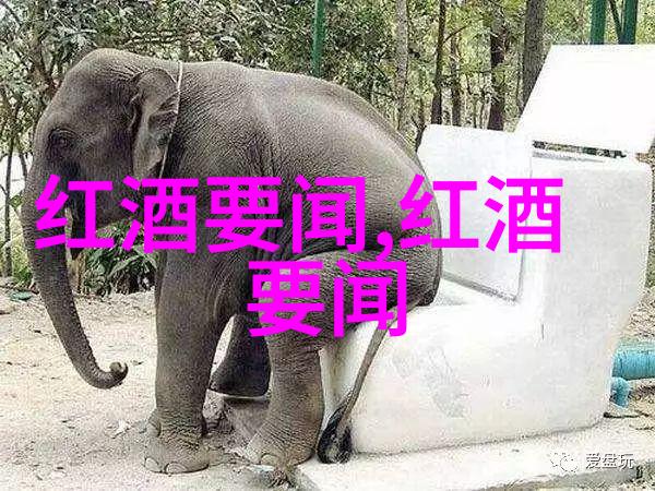 法国两大红酒产区波尔多与布鲁瓦的葡萄酒传奇