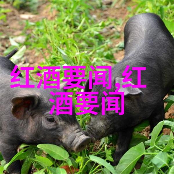 芙蓉诀电视剧总结揭秘古代医道与情缘的交织