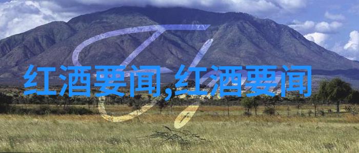 北京庄园董事长对于未来的规划是什么样的设想