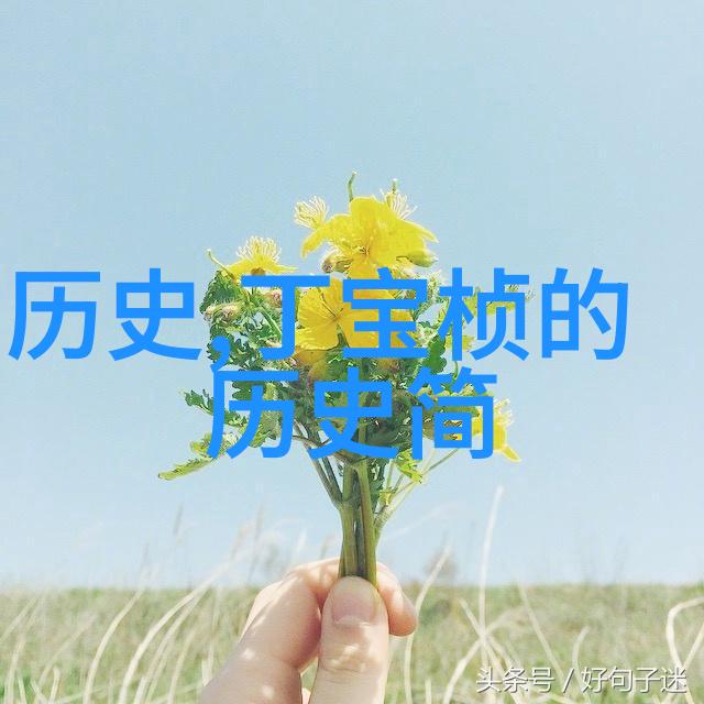 婚礼问答大赛赢得幸福记忆的钥匙
