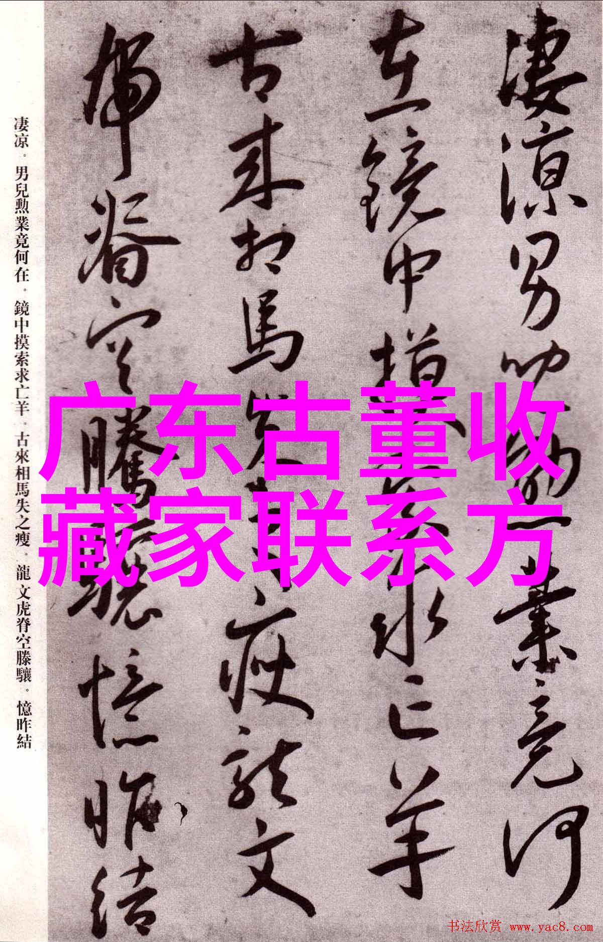 杜拉尔特里蒙特简介篮球之神的飞跃与坚持