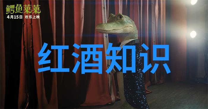 死者之舞阴阳交织的沉默乐章