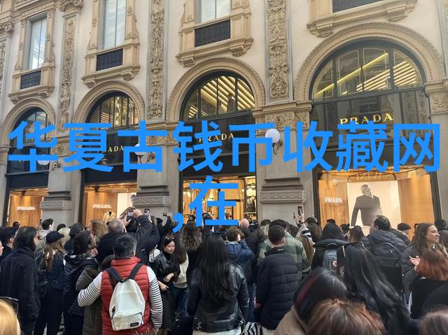 猫的图片大全从喵到咪满分笑料