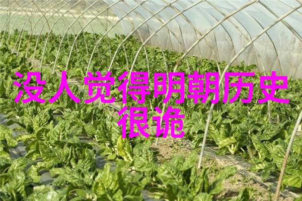 夜空下的奇观附近最佳星光赏析地点推荐