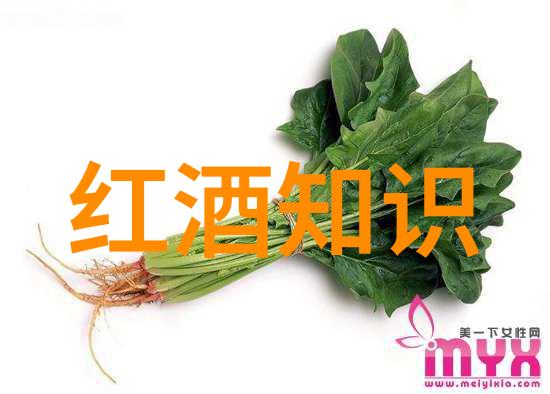 红酒知识全解从种植到酿造的每一步