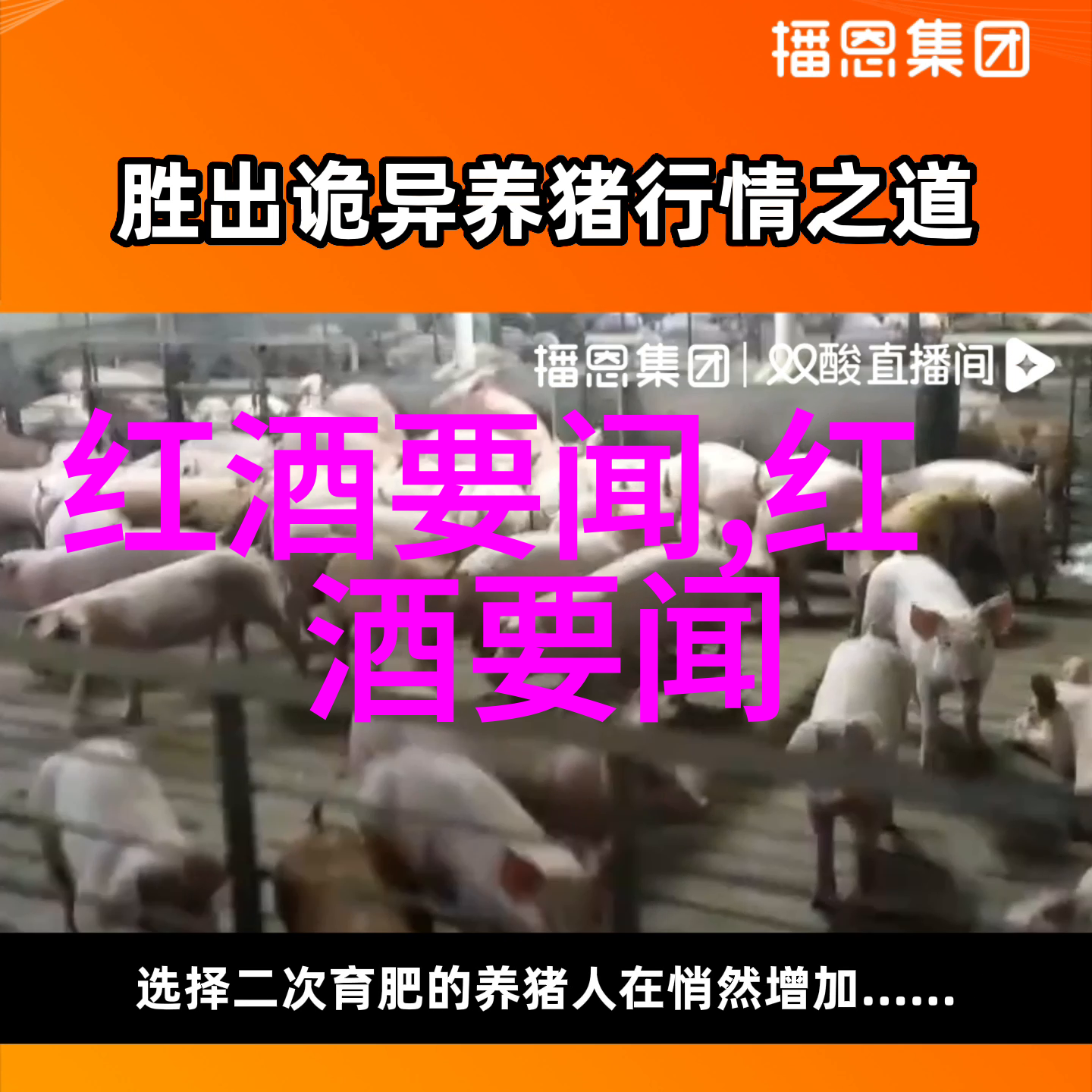 欧洲中世纪庄园的传奇与变迁艾尔登霍姆的故事