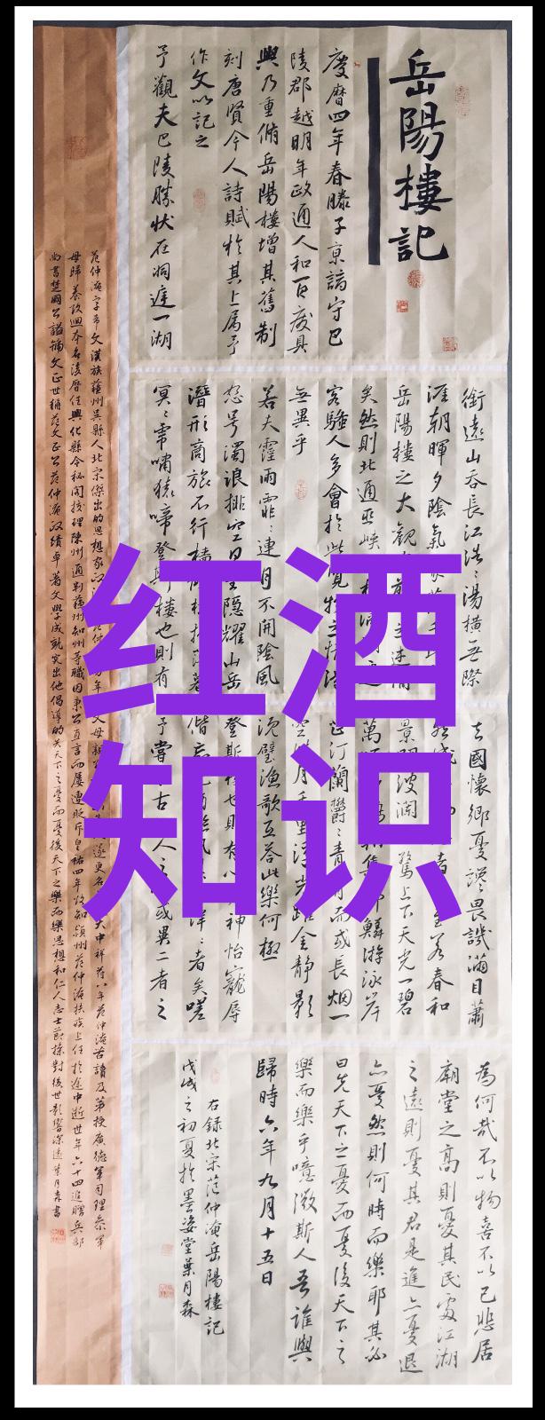 暑假适合带娃旅游的地方夏日趣游我和宝贝的欢乐探险
