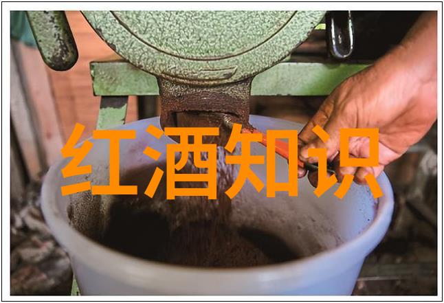 高中生活的诗意回响