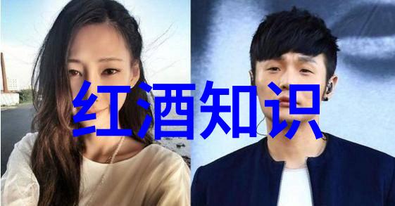 周边价格之谜一幅剖析物价脉络的抽象图谱