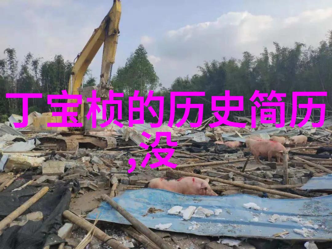 黑皮诺之巢莫莱谷葡萄园中最辉煌的宝库