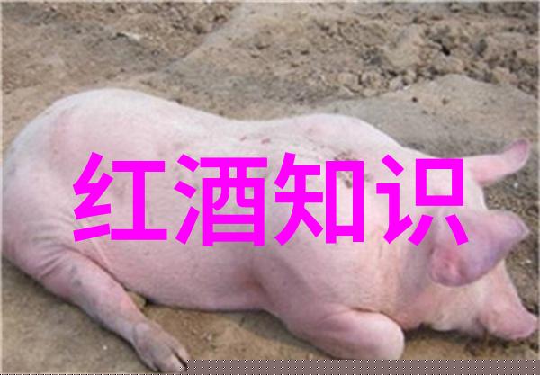 一套中国庄园的梦想从选址到装修全过程详解
