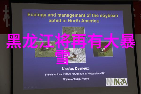 栾大伟动漫人物简笔画装饰物品优化库存结构暂不进军B2B市场