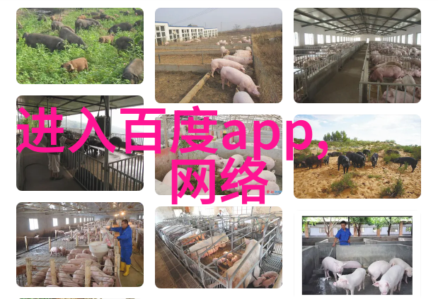 欧洲古堡风情探秘中世纪城堡的传奇与魅力
