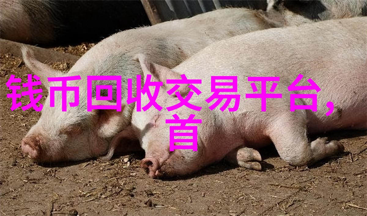 食用搭配指南如何挑选适合您口味的餐桌伴侣
