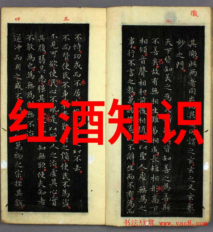 收藏界杂志社我是如何在一本旧书中发现收藏界秘密的