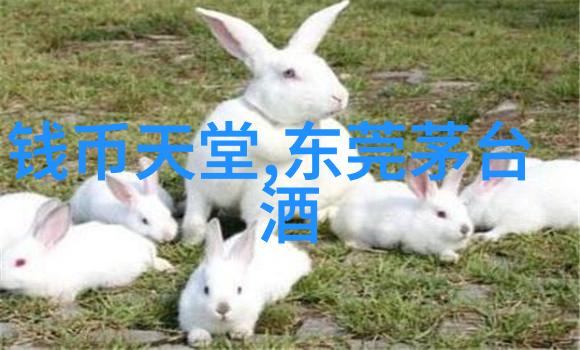 难道不是詹姆斯苏克林ng的眼睛捕捉到了意大利葡萄酒中流淌的情感和故事吗