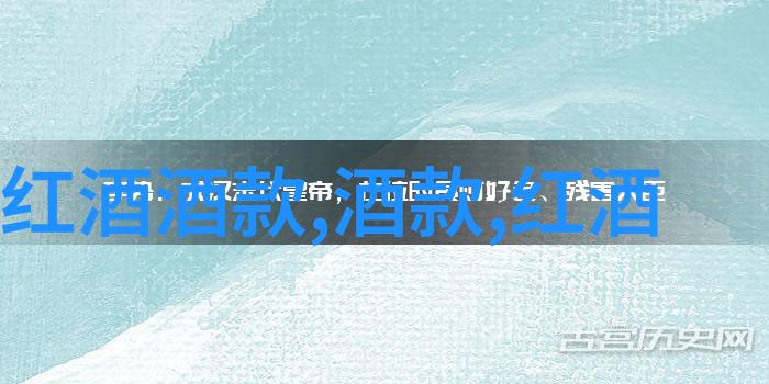智慧之问机器与灵魂的对话